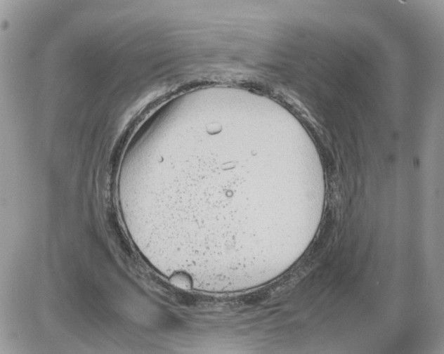 X0000086040679200704202011