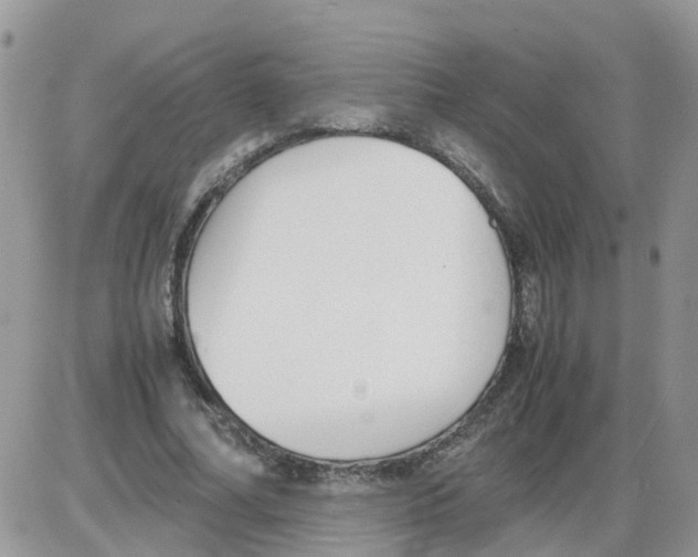 X0000086040682200704202011