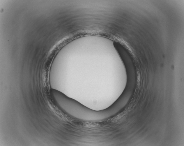 X0000086040684200704202011