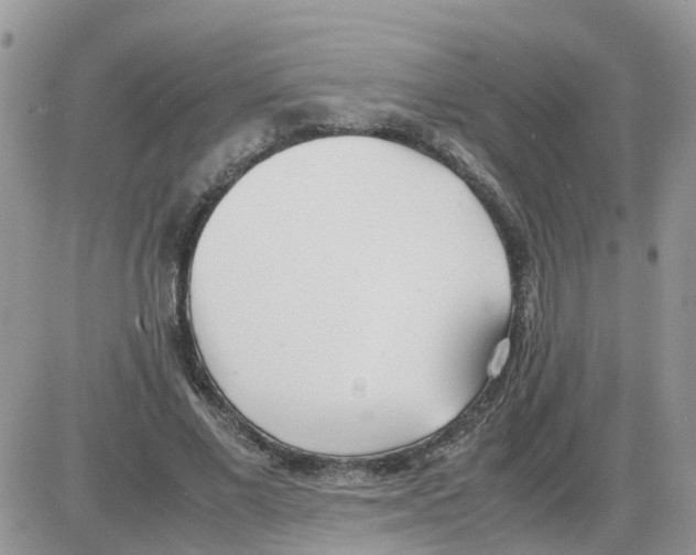 X0000086040685200704202011