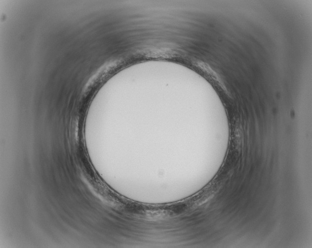 X0000086040686200704202011