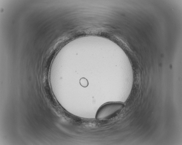 X0000086040687200704202011