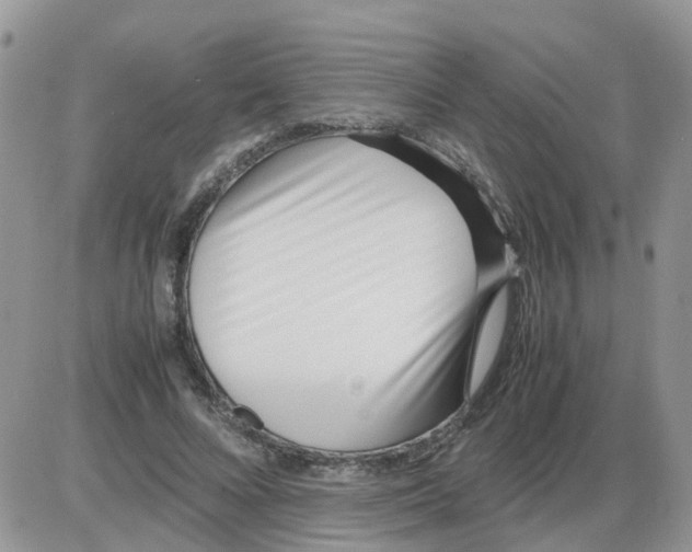 X0000086040688200704202011