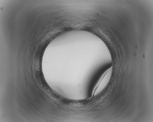 X0000086040689200704202011