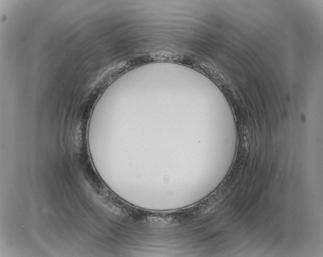 X0000086040690200704202011