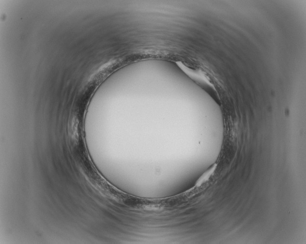 X0000086040692200704202011