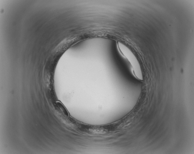 X0000086040693200704202011