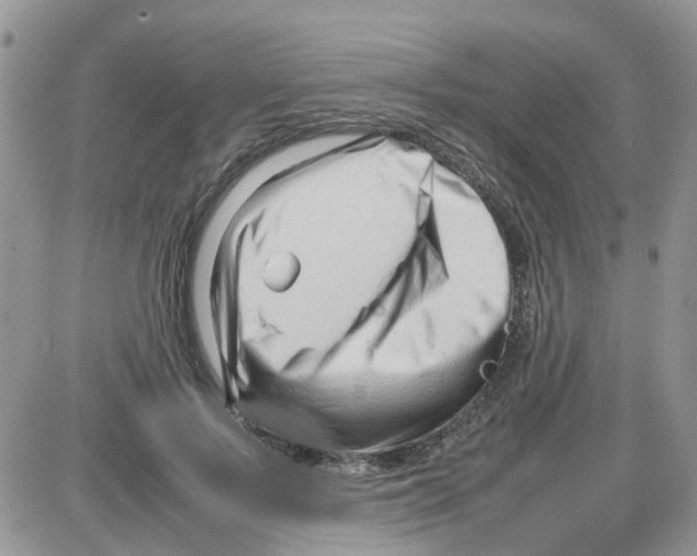 X0000086040695200704202011