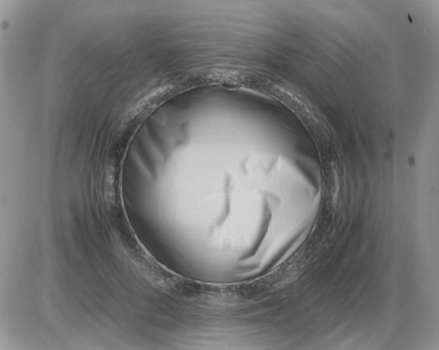 X0000086040696200704202011