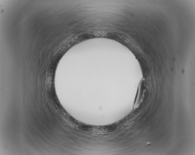 X0000086040697200704202011