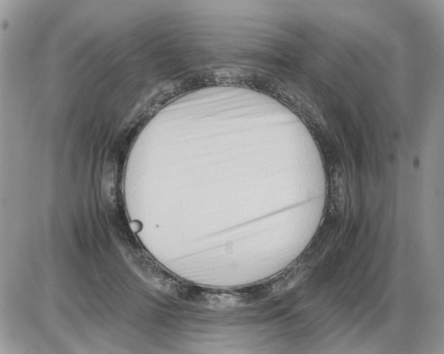 X0000086040698200704202011