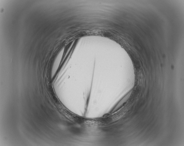 X0000086040699200704202011