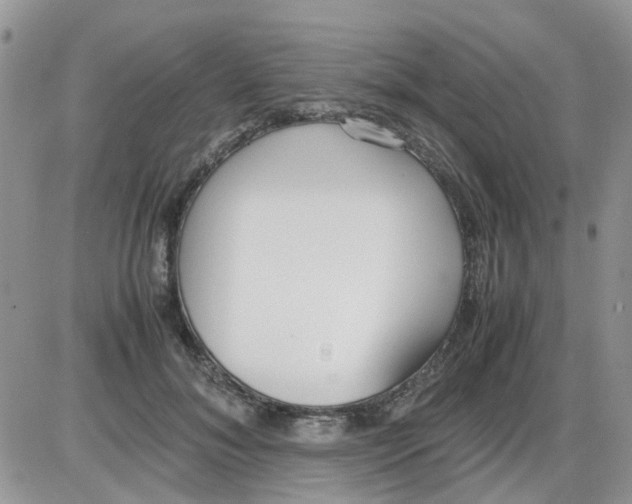 X0000086040700200704202011