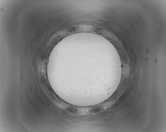 X0000086040701200704202011