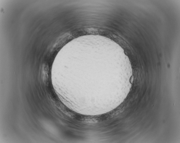 X0000086040702200704202011