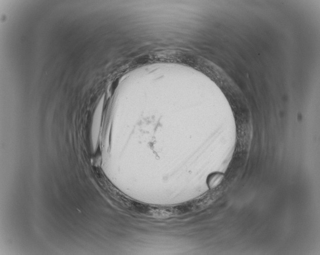 X0000086040703200704202011