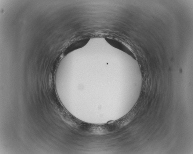 X0000086040704200704202011