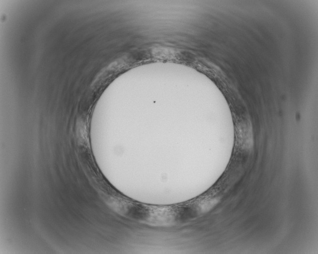 X0000086040705200704202011