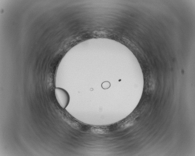 X0000086040706200704202011