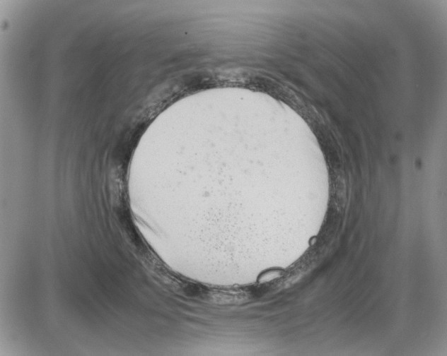 X0000086040707200704202011