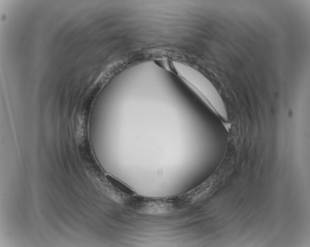 X0000086040708200704202011