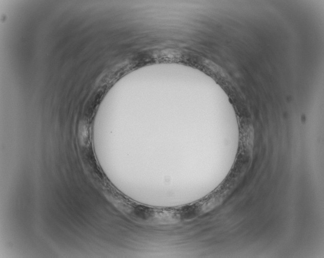 X0000086040709200704202011