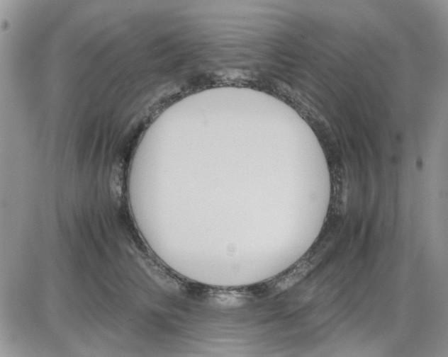 X0000086040710200704202011