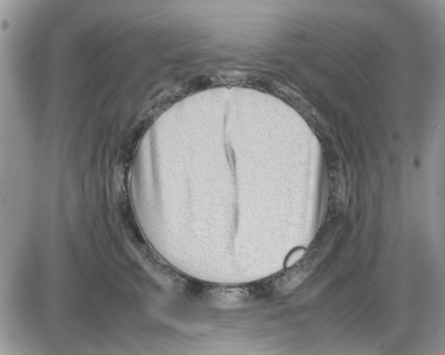 X0000086040711200704202011