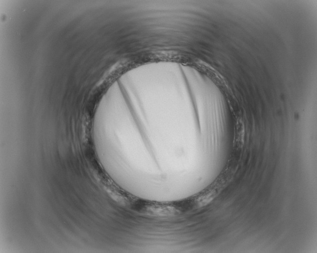 X0000086040712200704202011