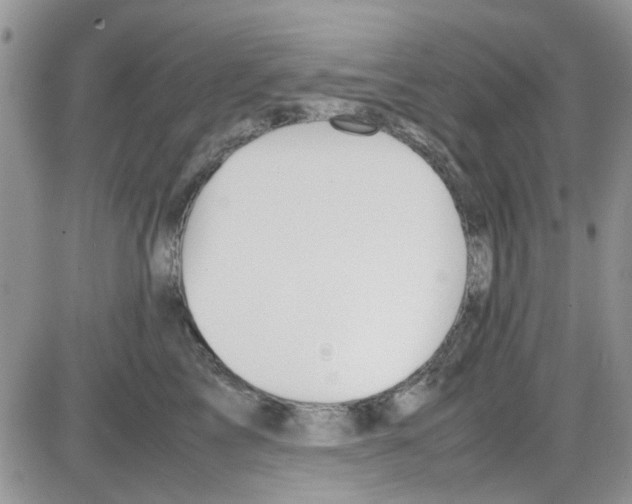 X0000086040713200704202011