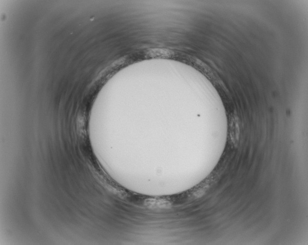 X0000086040714200704202011