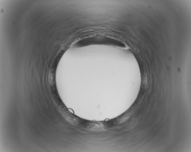 X0000086040715200704202011