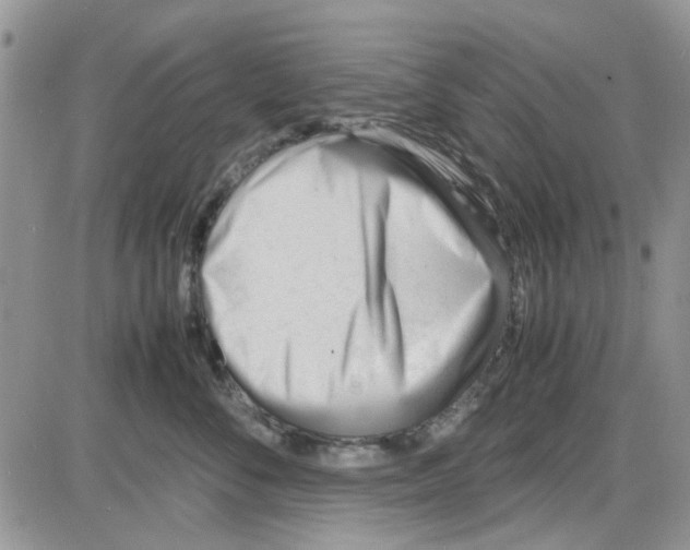 X0000086040716200704202011