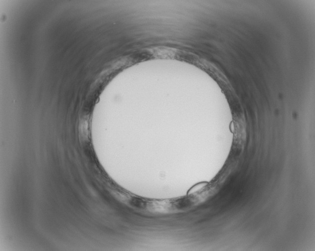 X0000086040717200704202011