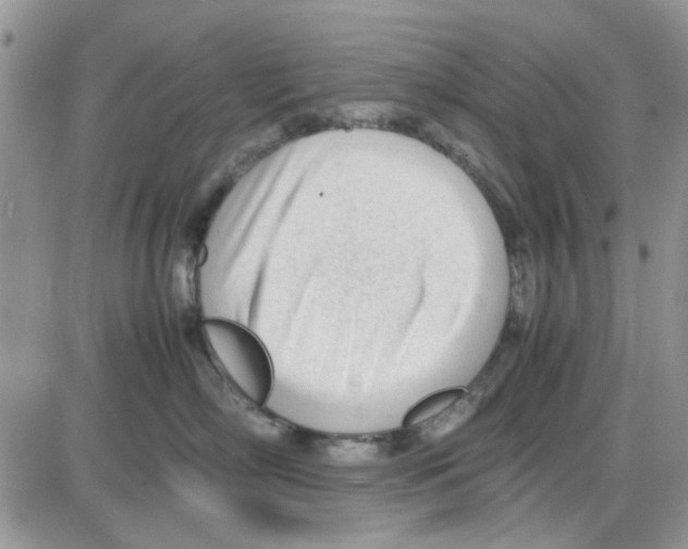 X0000086040718200704202011