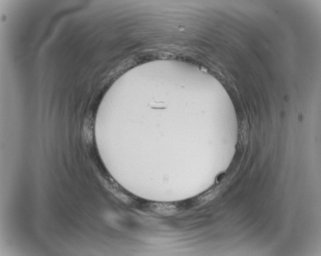 X0000086040719200704202011