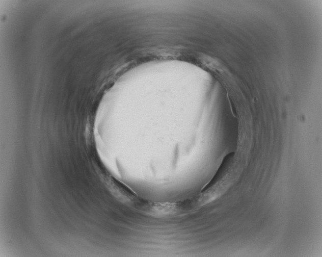 X0000086040720200704202011