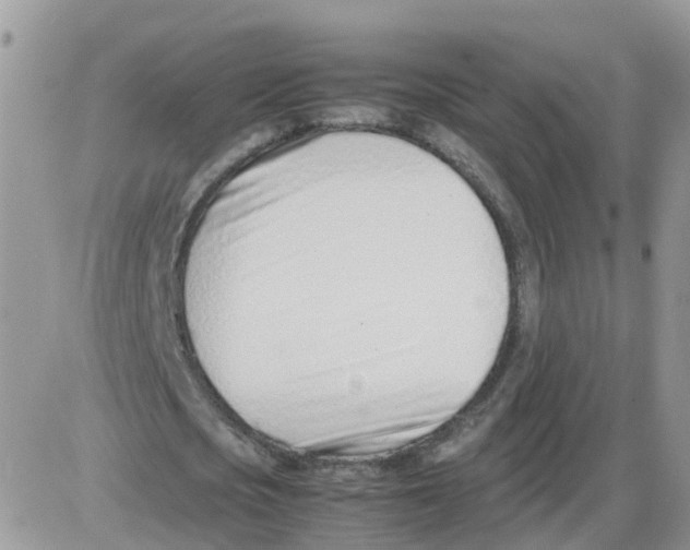 X0000086040721200704202010