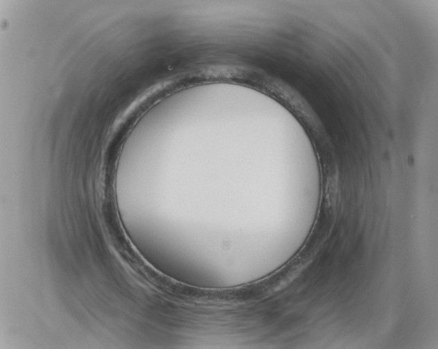 X0000086040722200704202010