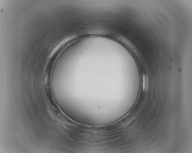 X0000086040723200704202010