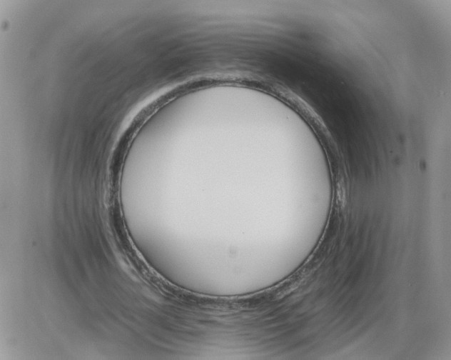 X0000086040724200704202010