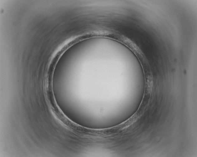 X0000086040726200704202010