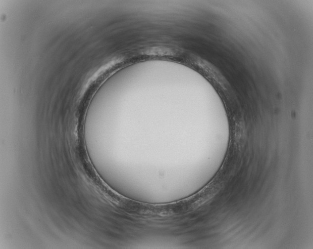 X0000086040727200704202010