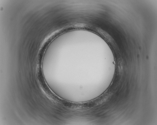 X0000086040728200704202010