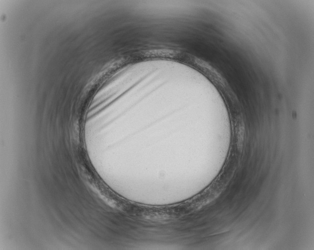 X0000086040729200704202010