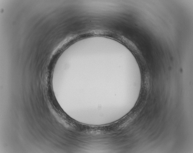 X0000086040730200704202010