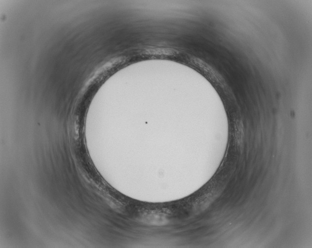 X0000086040731200704202010