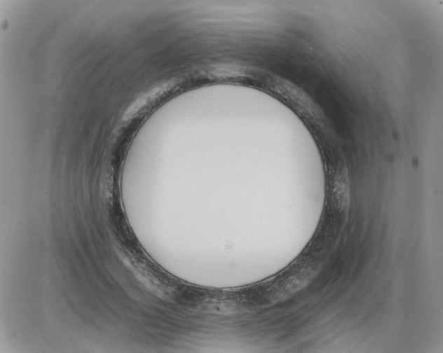 X0000086040732200704202010