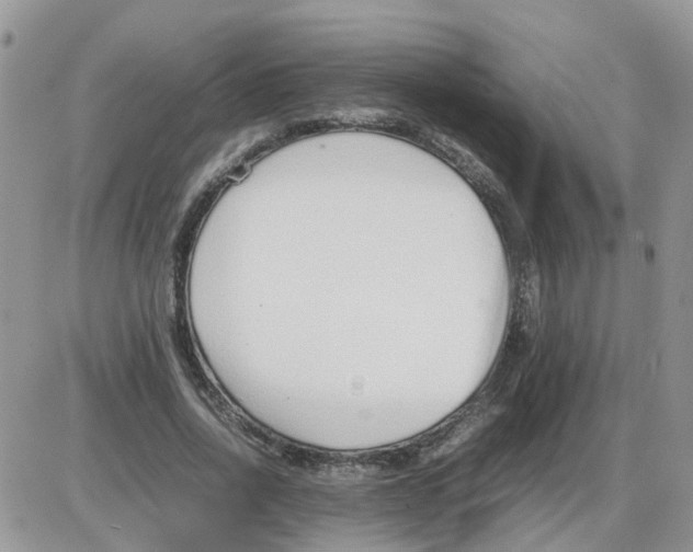 X0000086040734200704202010