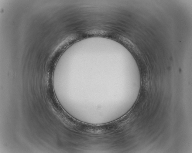 X0000086040735200704202010